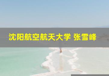 沈阳航空航天大学 张雪峰